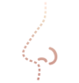nose-shape